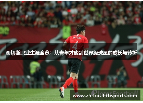 桑切斯职业生涯全览：从青年才俊到世界级球星的成长与转折