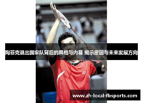 陶菲克退出国家队背后的真相与内幕 揭示原因与未来发展方向